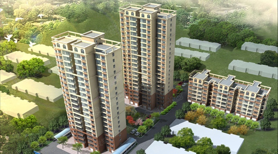 衡水福鼎園最新動態與溫馨日常