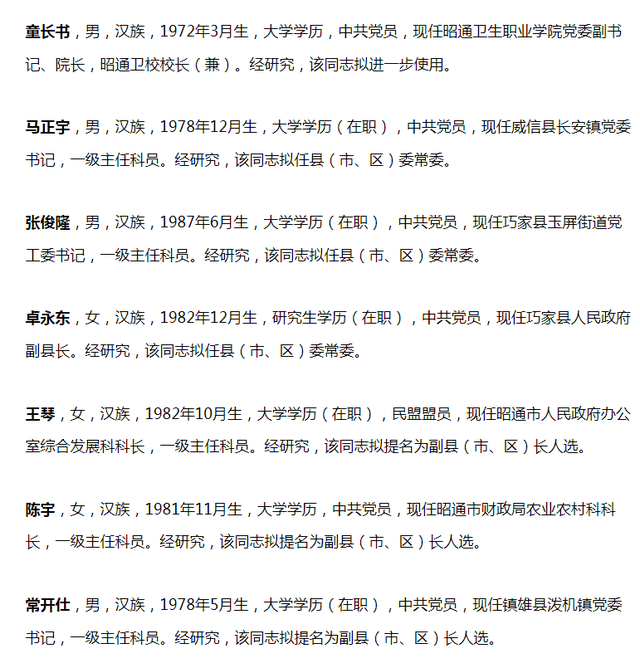 關于昭通市委最新任免的探討與觀點分析,2025年最新任免動態揭秘