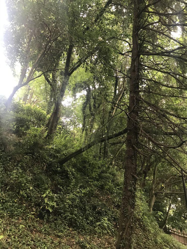 杭州瓶窯最新發展,一段溫馨的日常故事開啟新征程