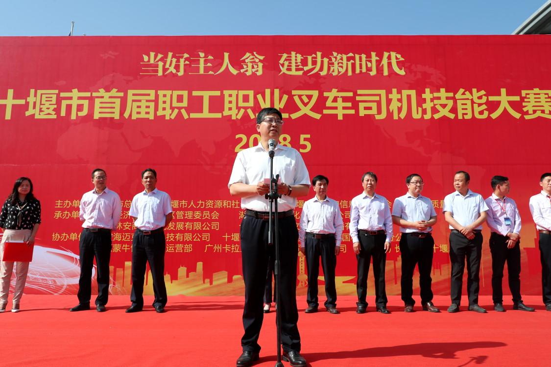 十堰林安最新動態揭秘,多維度市場發展觀察與觀點闡述