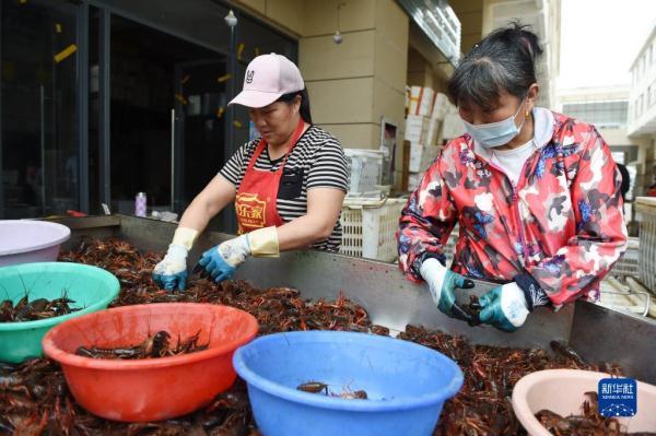 宿松新發地最新動態更新
