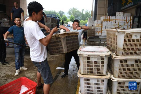 宿松新發地最新動態更新