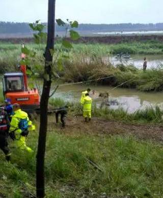 霍邱沉船事故最新進展,河畔奇跡與友情之舟的探尋