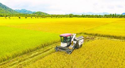 珠海代耕農最新動態更新 ????(最新消息)