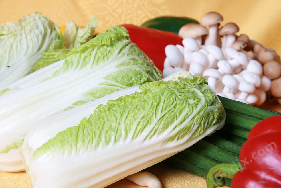 山東大白菜最新價(jià)格揭秘,小巷深處的白菜情緣