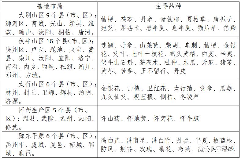最新靈寶市領(lǐng)導(dǎo)分工表公布,觀點(diǎn)論述與分工細(xì)節(jié)全解析