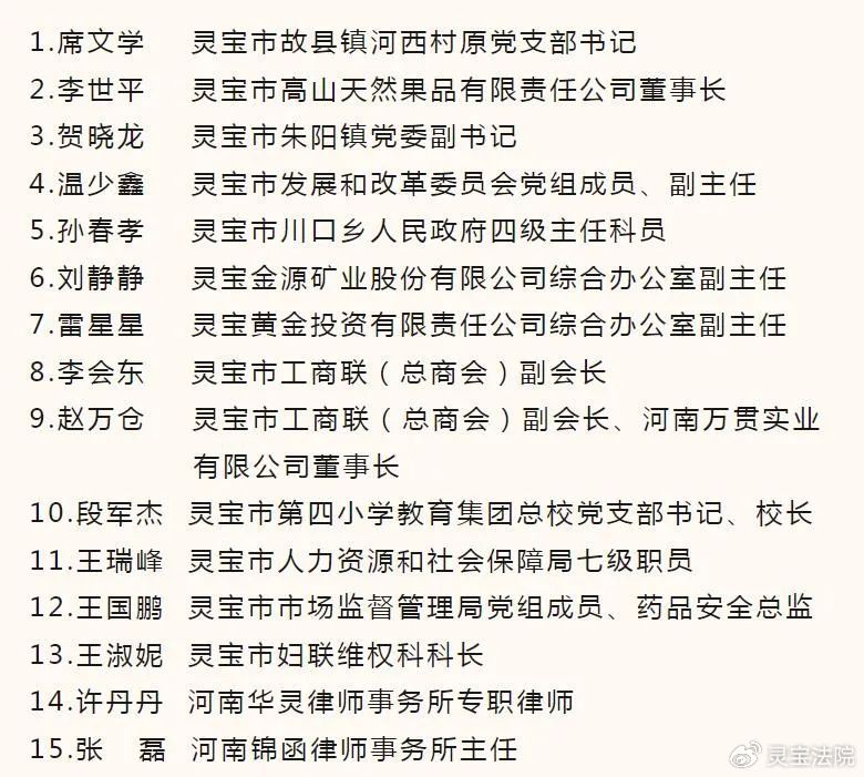 最新靈寶市領導分工表公布,觀點論述與分工細節全解析