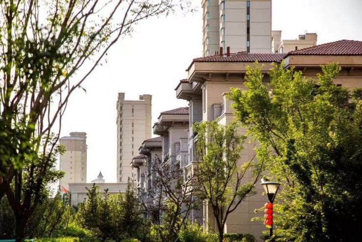 大同文錦西苑，與自然美景的邂逅，探尋內(nèi)心平和之旅的最新動態(tài)