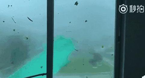 普寧臺風最新消息，探尋自然美景的心靈之旅在風暴中繼續