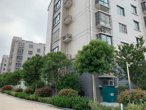 泗縣盛世豪庭最新動態更新