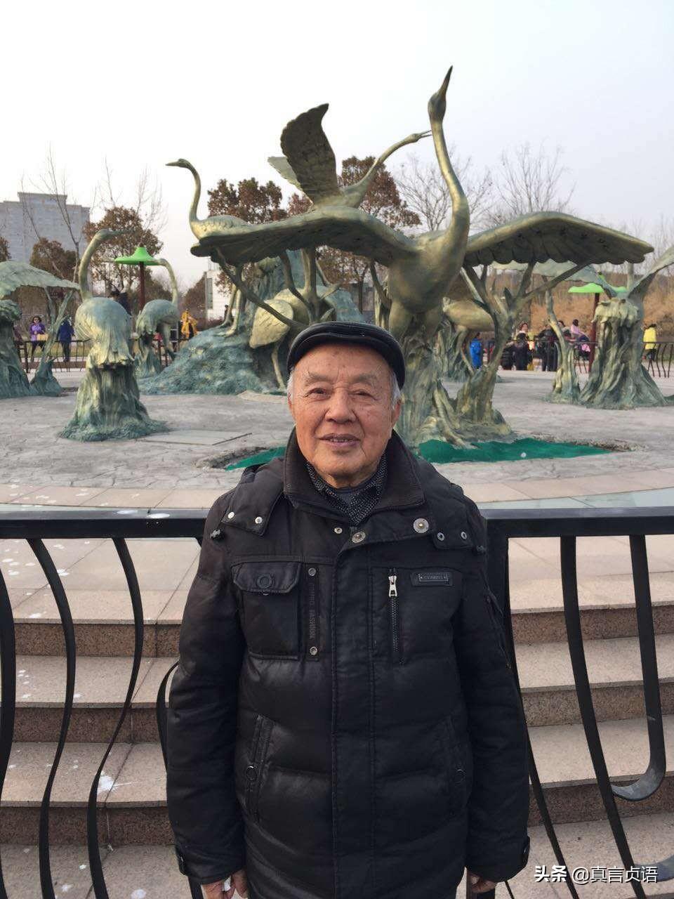 阜寧益林最新規(guī)劃圖詳解,未來藍圖展望