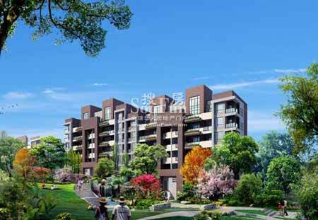 茶園新區悅地最新資訊速遞