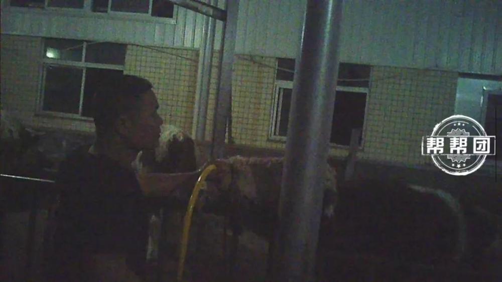 最新活春官視頻實拍,探索自然美景,尋覓內心寧靜之旅