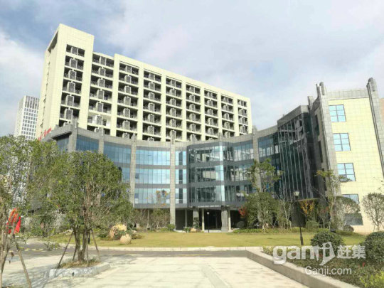 嘉善鉑金廣場最新動態更新,最新消息匯總