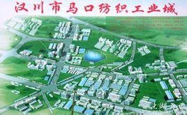 漢川馬口最新招聘信息匯總與獲取指南