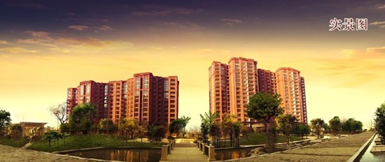 新鄉濱河灣最新動態揭秘，最新發展動向與消息速遞