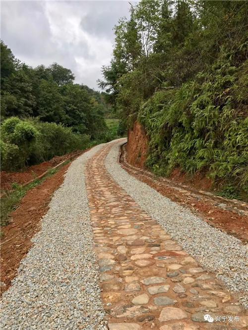 興寧羅崗鎮最新新聞,觀點闡述與分析