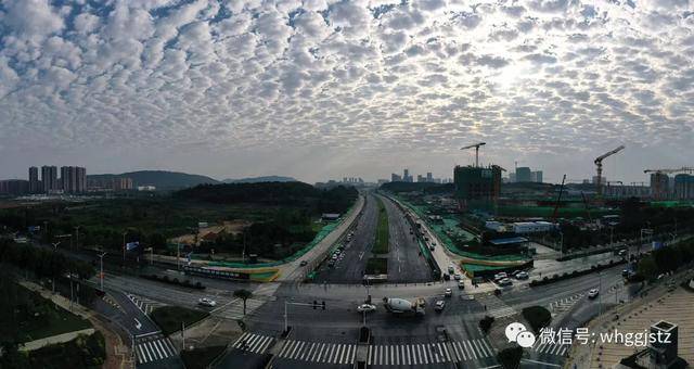 光谷森林大道未來(lái)藍(lán)圖與發(fā)展動(dòng)態(tài)最新消息揭秘