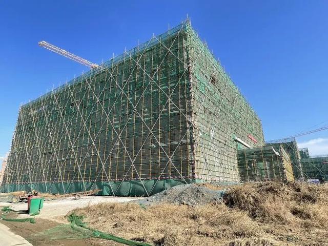 丹陽練湖開湖新動態(tài),湖水變遷見證成長之路