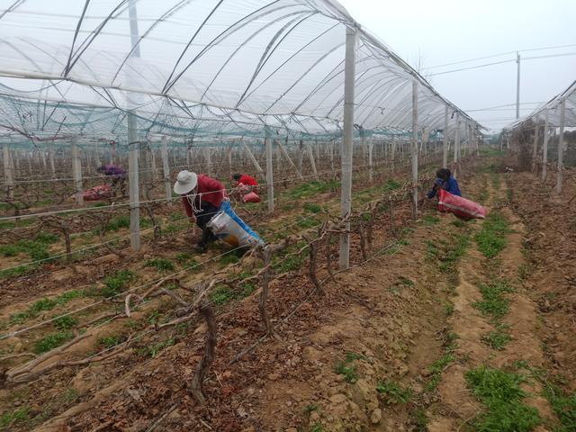 南陽工廠最新招工信息揭秘,探尋職業發展的新天地