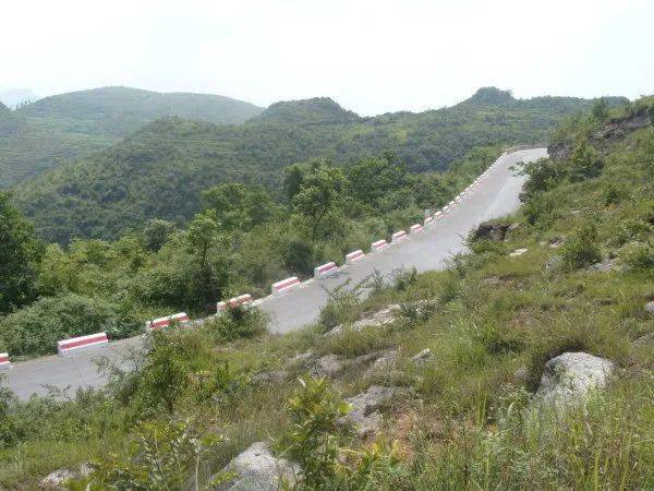 五A添盛坊青稞原漿 第133頁