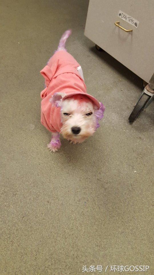 科技引領未來,智能產品重塑生活體驗,最新疫情動態下的生活體驗變化分析