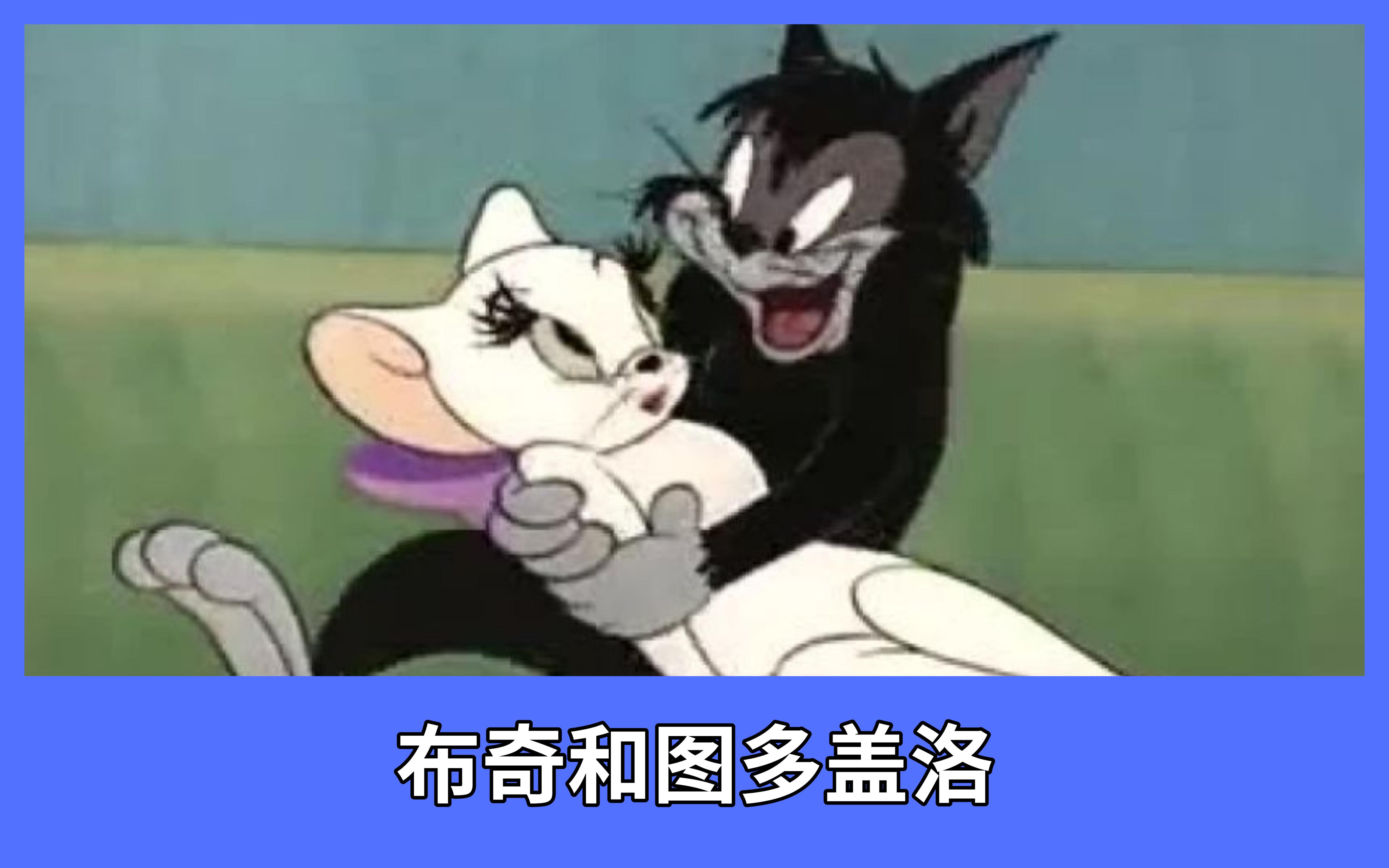 最新觀點闡述,老鼠你最新