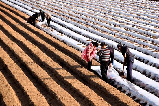 新鄉最新肺炎，審視與反思下的多方觀點交織
