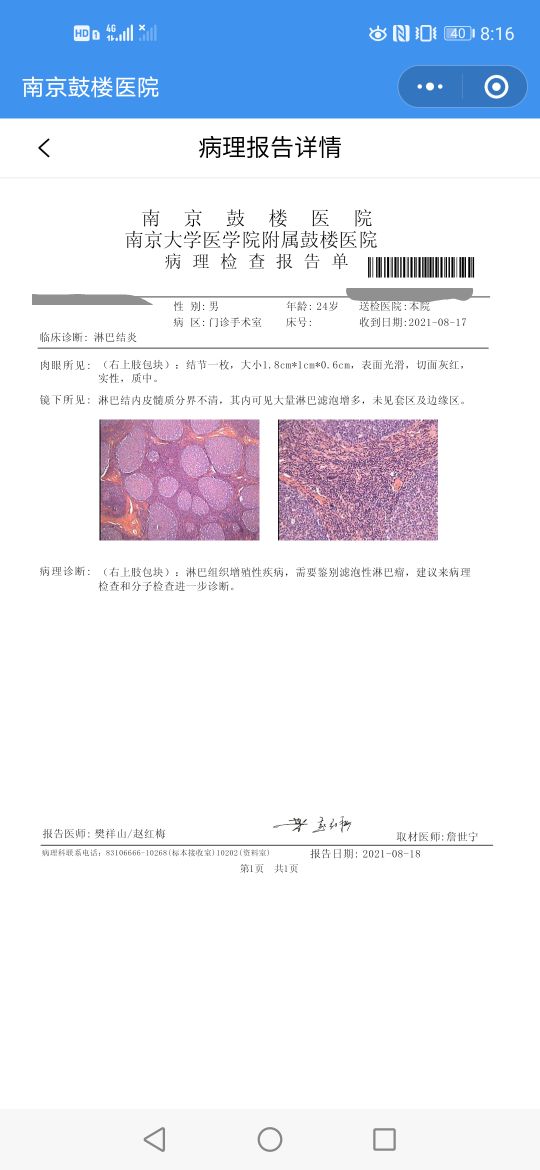 最新病理報告觀點論述概覽