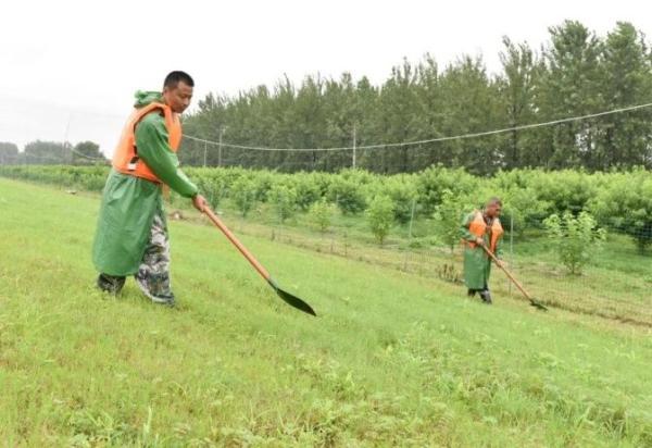 巢湖汛情最新動態與論述摘要