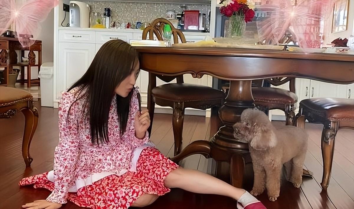 深圳最新現狀概覽