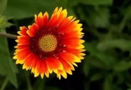 袂花之旅,自然美景探尋,內心平和與喜悅的旅程