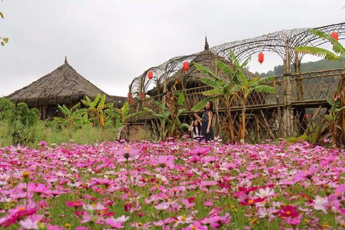 思茅最新科技樓盤，重塑生活，未來觸手可及