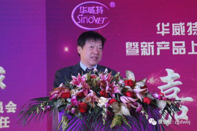 武華新技能學習指南,掌握最新技能與任務的詳細步驟攻略