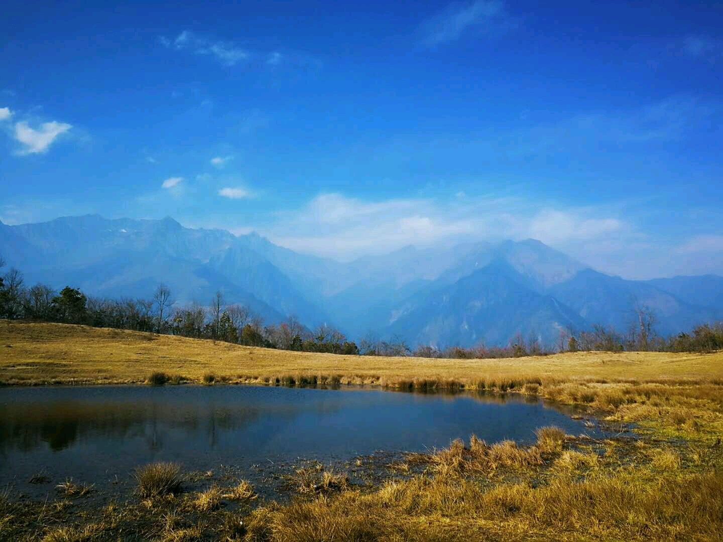 干海子最新探秘,小巷中的獨特小店,隱秘寶藏的魅力