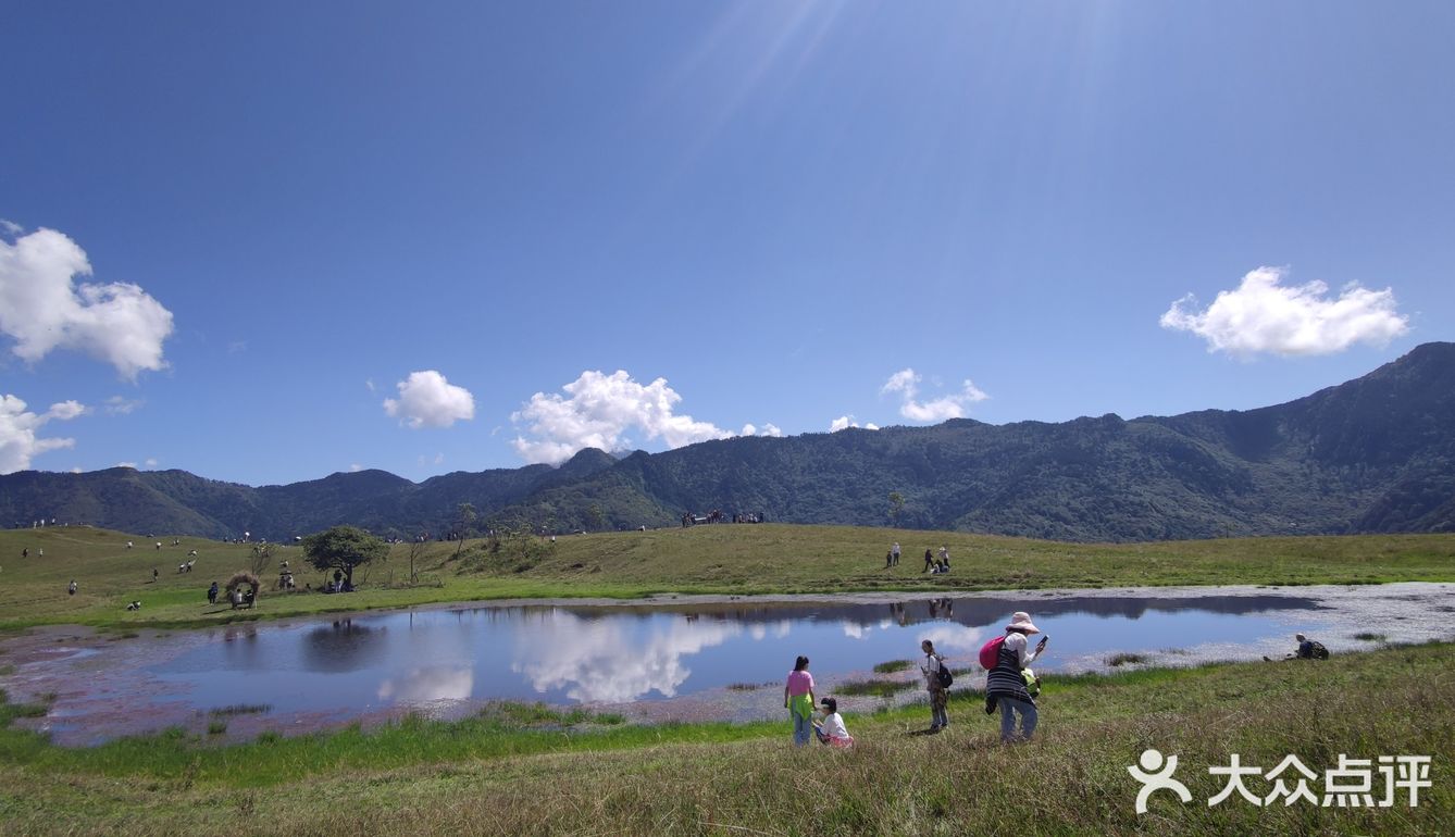 干海子最新探秘,小巷中的獨特小店,隱秘寶藏的魅力