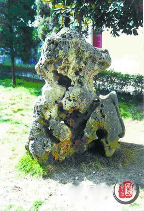 揭秘最新丑石,神秘面紗下的獨(dú)特魅力探索