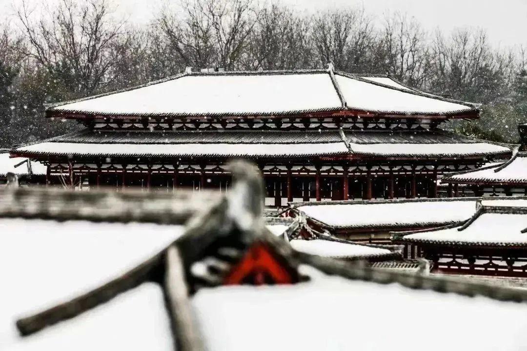 和田最新疫情全面解讀與應對建議,最新動態與應對策略