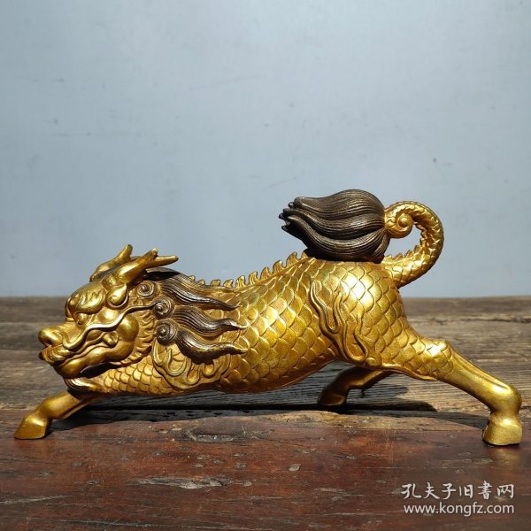 金麒麟最新，友情與陪伴的溫馨日常時光