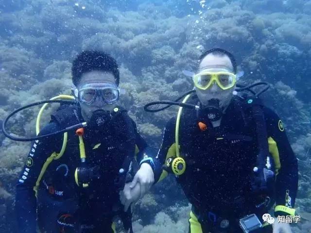 探索水下世界的神秘魅力,最新潛水視頻大放送