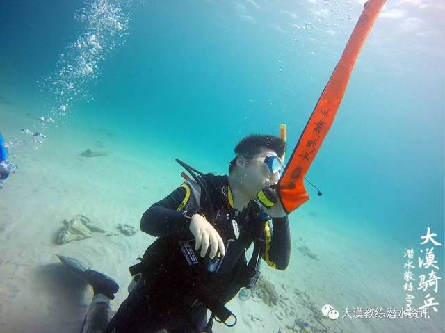 探索水下世界的神秘魅力,最新潛水視頻大放送