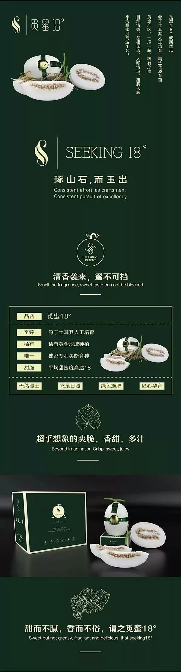 覓蜜最新觀點(diǎn)闡述,探索最新趨勢與理念