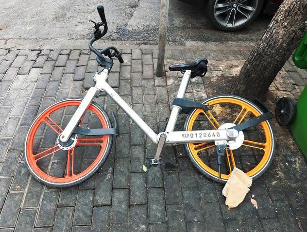 最新車規(guī)定詳解,如何適應(yīng)并遵守新法規(guī)的指南