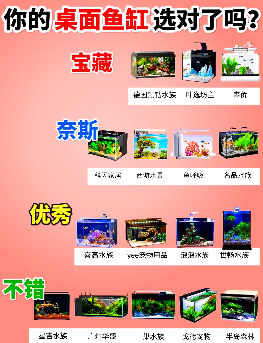 時代背景下的水族盛事，最新魚缸排名一覽