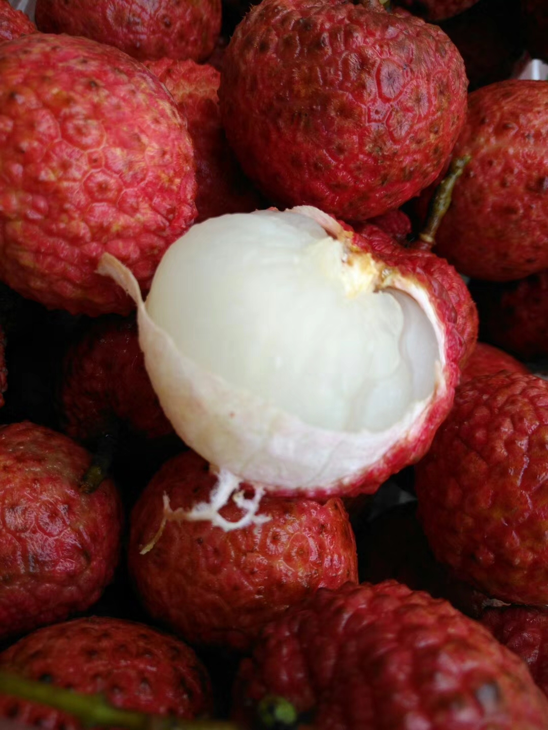 綠色經典精盛青稞酒 第122頁