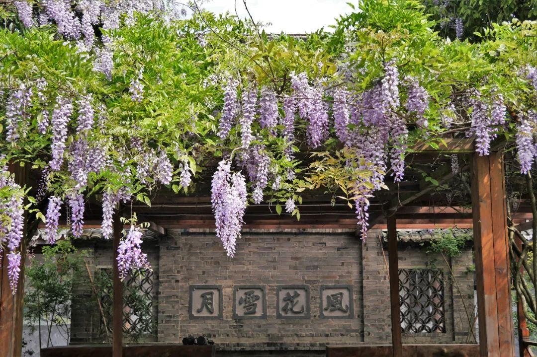 陳軒，時代之光下的璀璨新星崛起