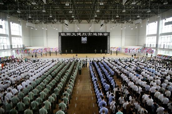 海南最新戰事,小明的冒險之旅與友誼的溫暖