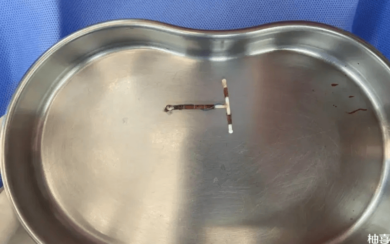 最新吉妮環,科技革新之巔,生活品質提升之選