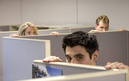 揭秘偷窺現象，多維視角下的最新觀察