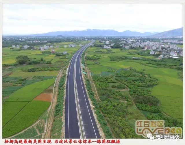 段和平最新動態與成就,科技前沿的探索領軍者